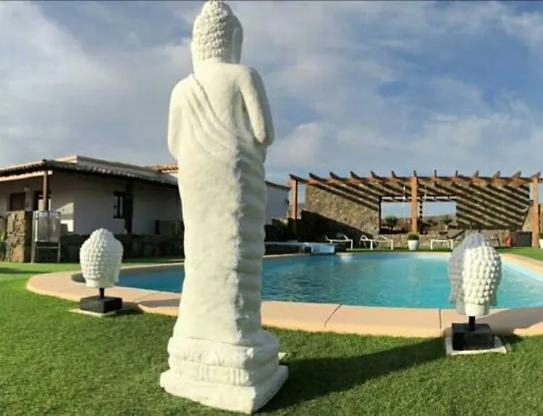 Casa Palmito